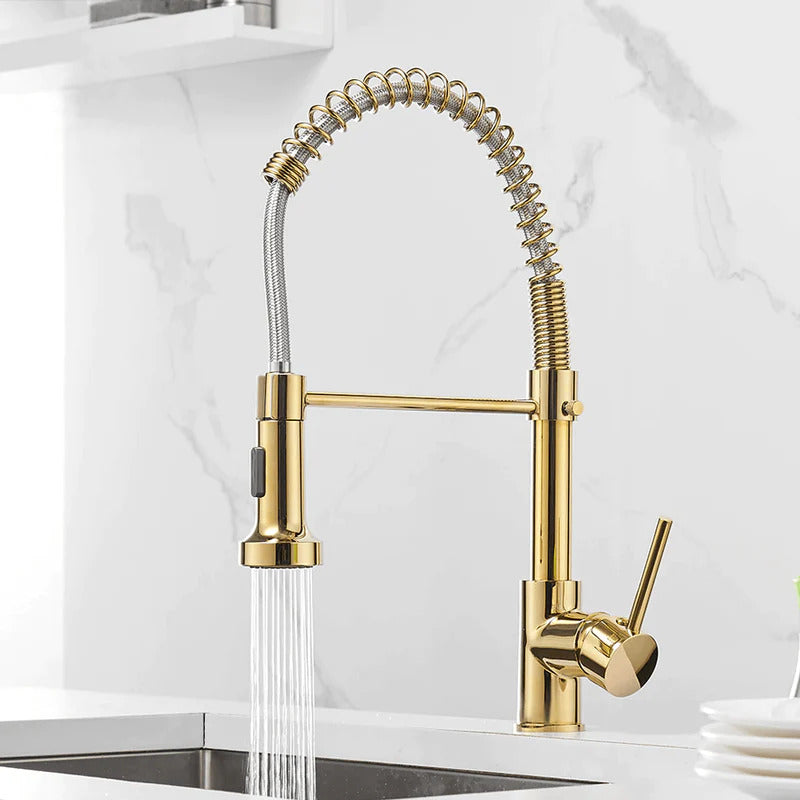 Robinet d'évier nickel brossé, douchette flexible pour la vaisselle facile.