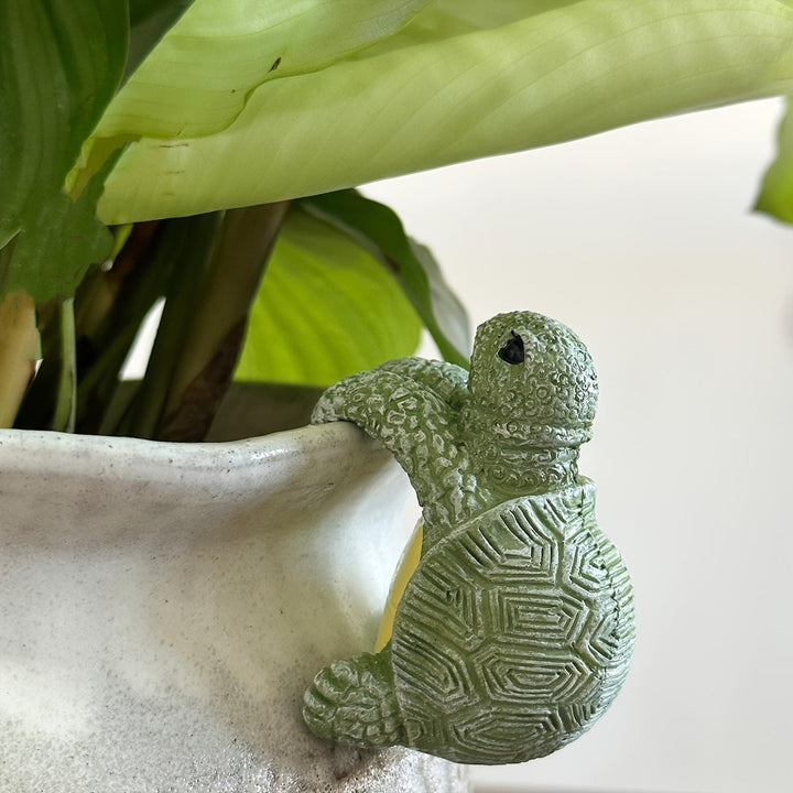 Décoration de jardin fantaisie : pot de fleurs tortue suspendu. Parfait pour les plantes d'intérieur et d'extérieur.