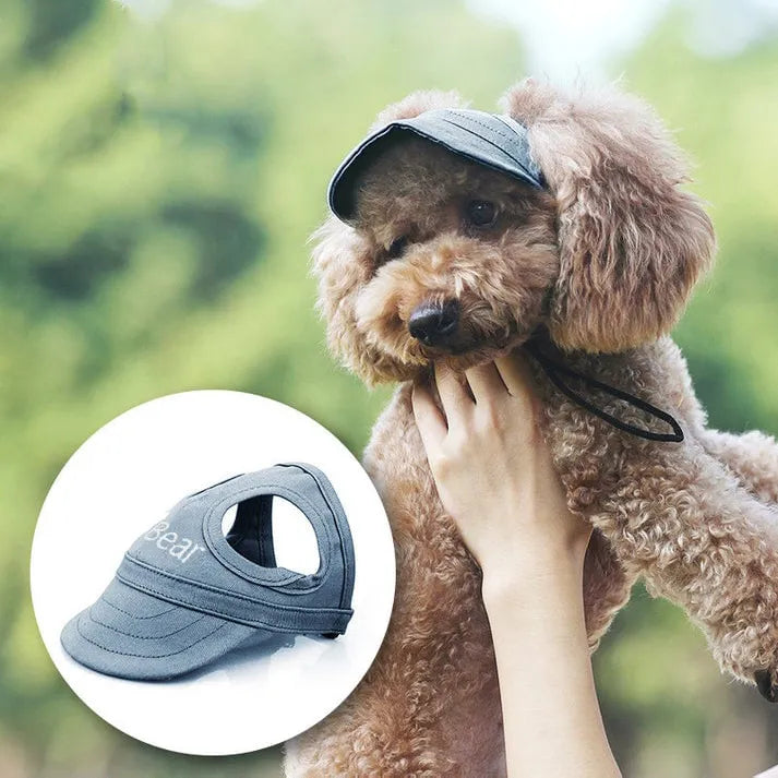 Casquette de soleil pour chien, élégante et respirante, offrant une protection UV essentielle pour les promenades d'été.