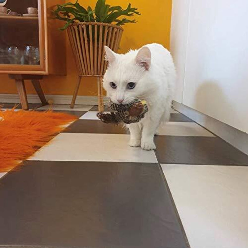 Accessoire de jeu interactif pour chat, plumes et sons intégrés, idéal pour la stimulation mentale.