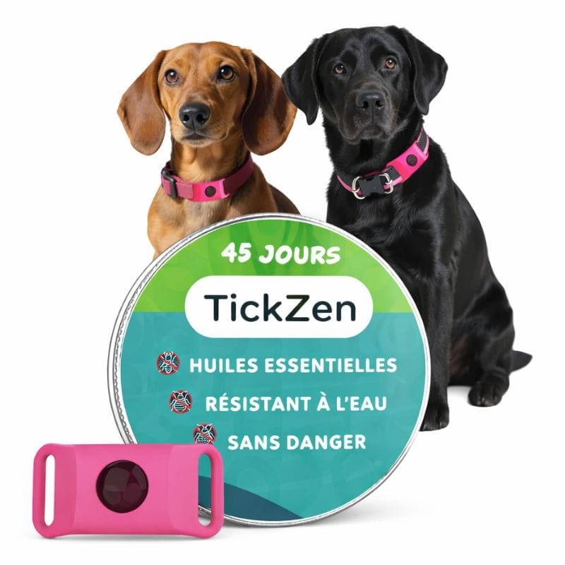 Collier anti-tiques imperméable pour chien, à base d'huiles essentielles, sans danger.
