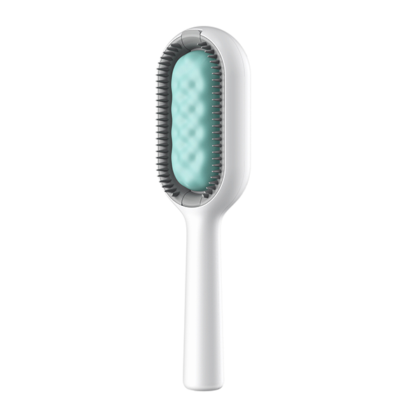 Chien avec un pelage brillant après utilisation du peigne de soin hydratant. Accessoire de toilettage pour animaux.