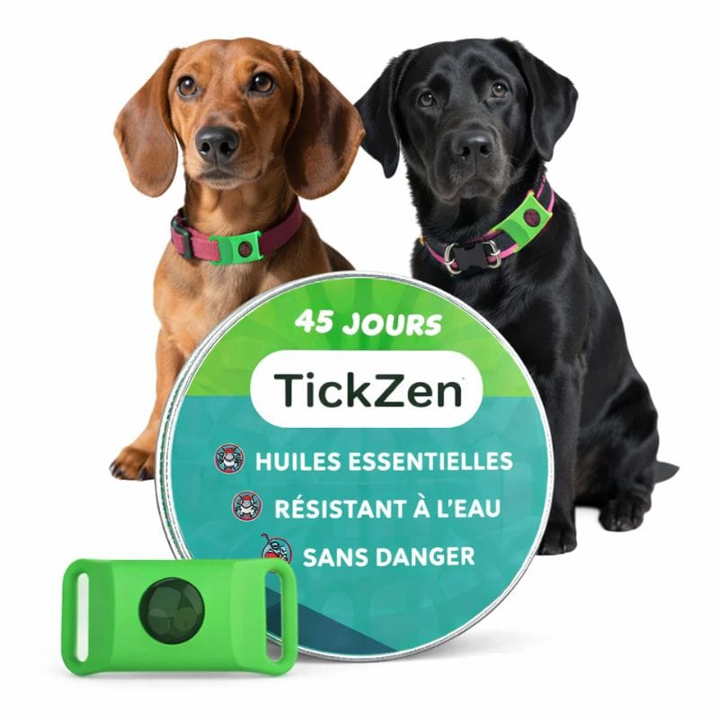 Protection naturelle pour chien contre puces et tiques, pendentif écologique et efficace.