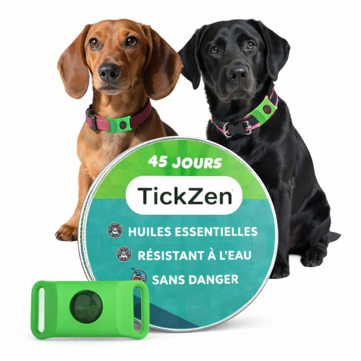 Protection naturelle pour chien contre puces et tiques, pendentif écologique et efficace.