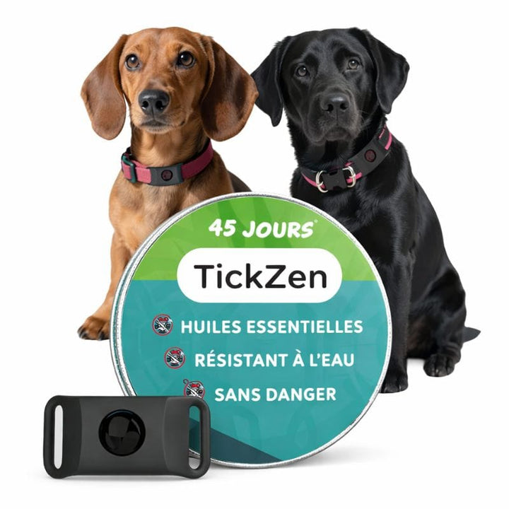 Pendentif répulsif puces/tiques pour animaux, solution naturelle à base de plantes.