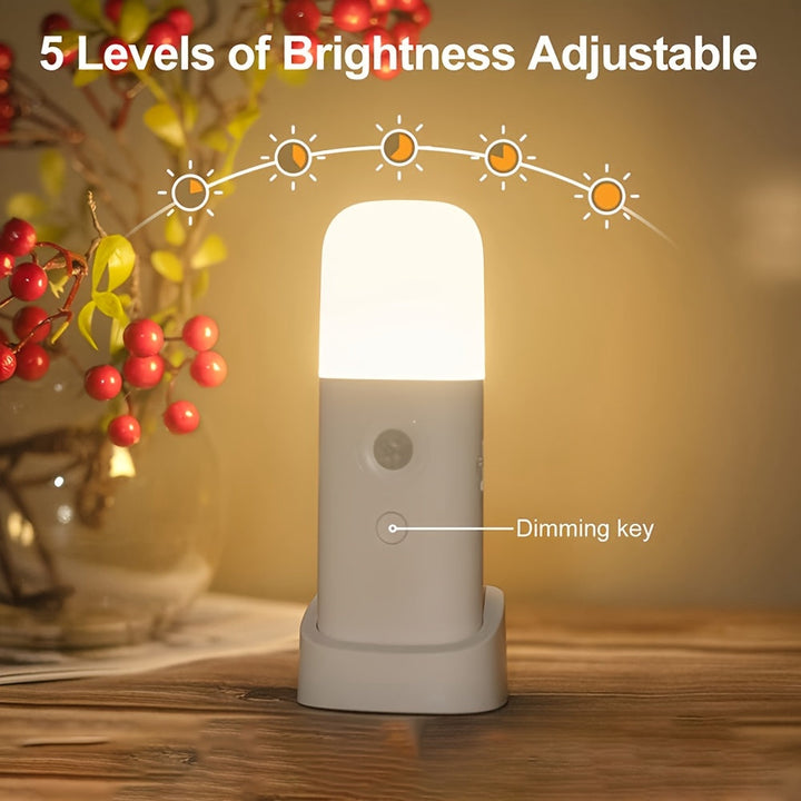 Lumière de nuit LED intelligente, capteur de mouvement, rechargeable USB pour chambre et couloir.