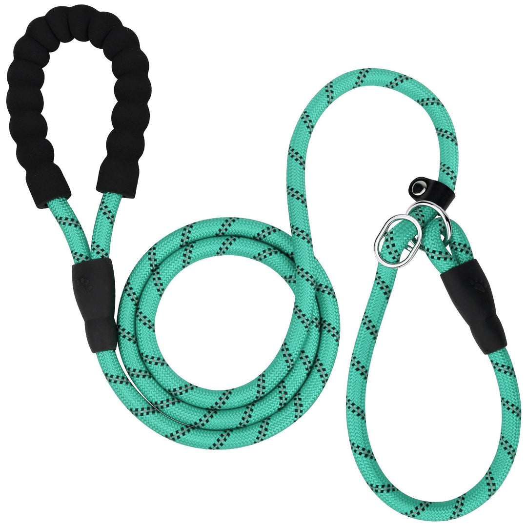 Laisse extérieure réfléchissante pour chien, parfaite pour randonnées et balades, haute visibilité.