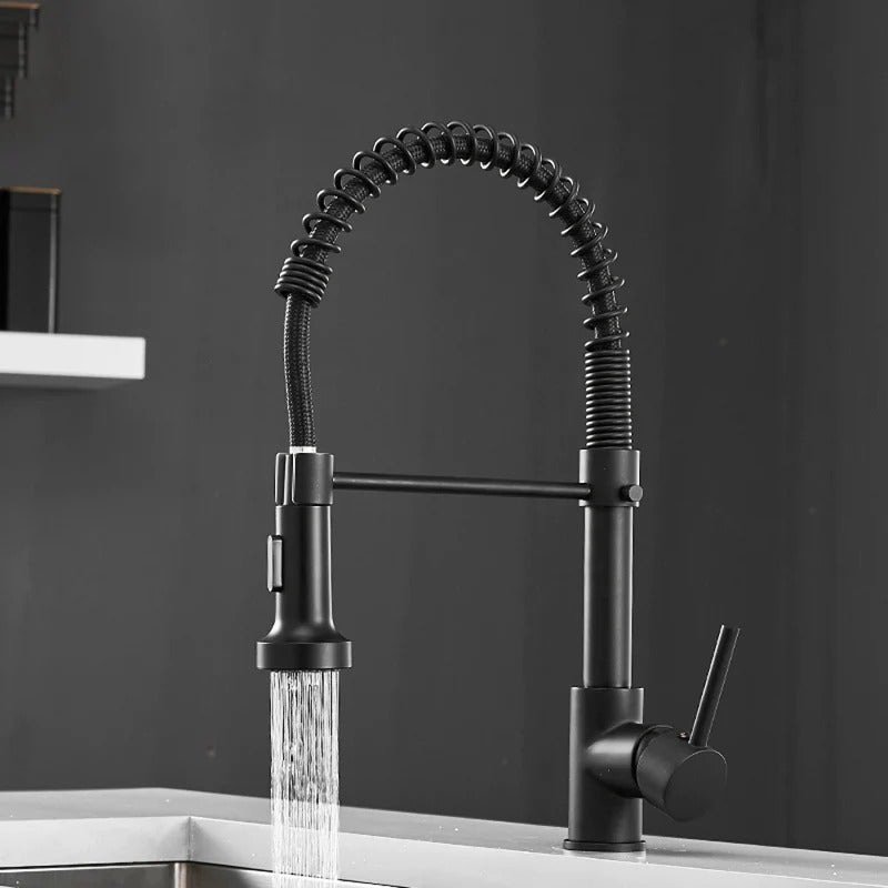 Robinet de cuisine noir mat, douchette à ressort extensible, look sophistiqué.