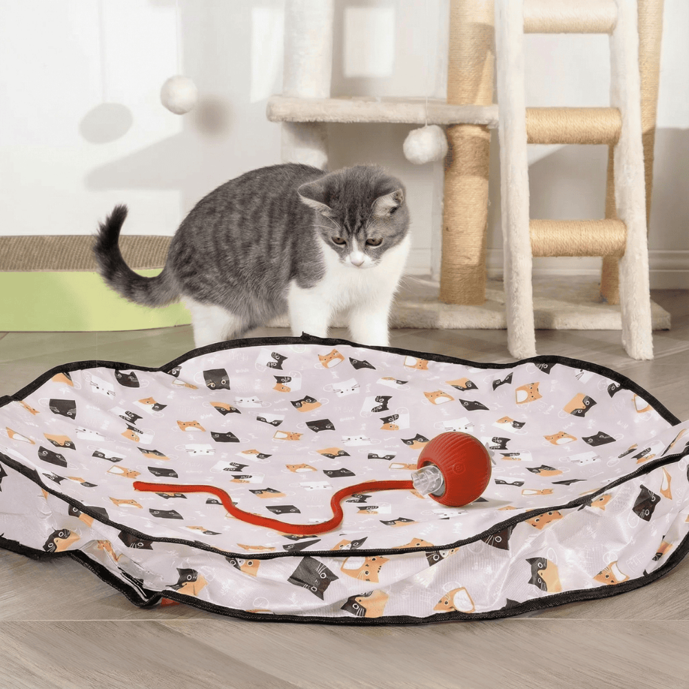 Jouet interactif pour chat : un tapis de jeu stimulant de 70 cm pour exercice et divertissement.