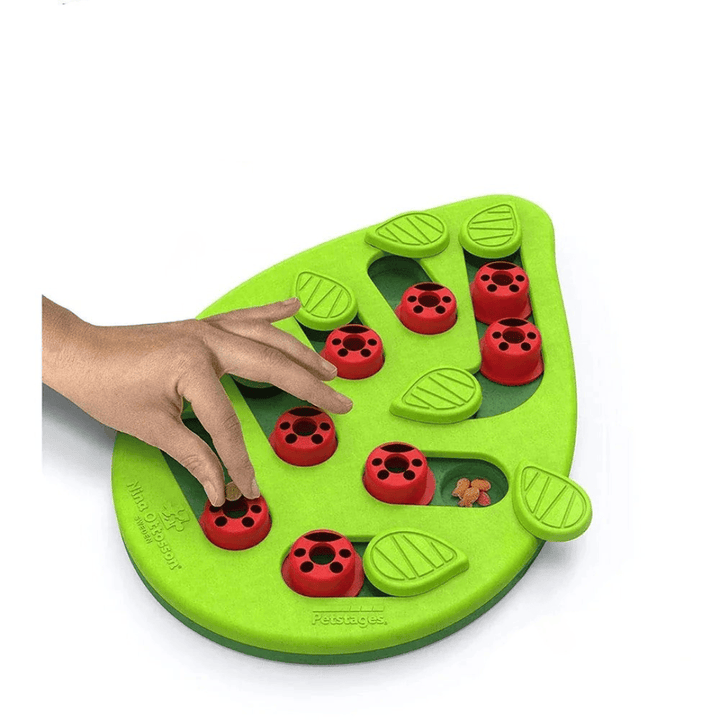 Un chat s'amusant avec le puzzle interactif, jouet distributeur de friandises pour stimulation mentale et anti-ennui.