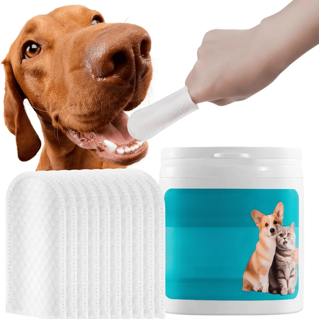 Lingettes dentaires à doigt pour chiens et chats, favorisant l'hygiène bucco-dentaire et une haleine fraîche. Soin facile.