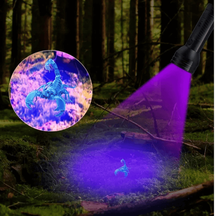 Lampe torche UV LED 395nm pour détecter les taches d'urine d'animaux domestiques, idéal pour l'inspection et le nettoyage.
