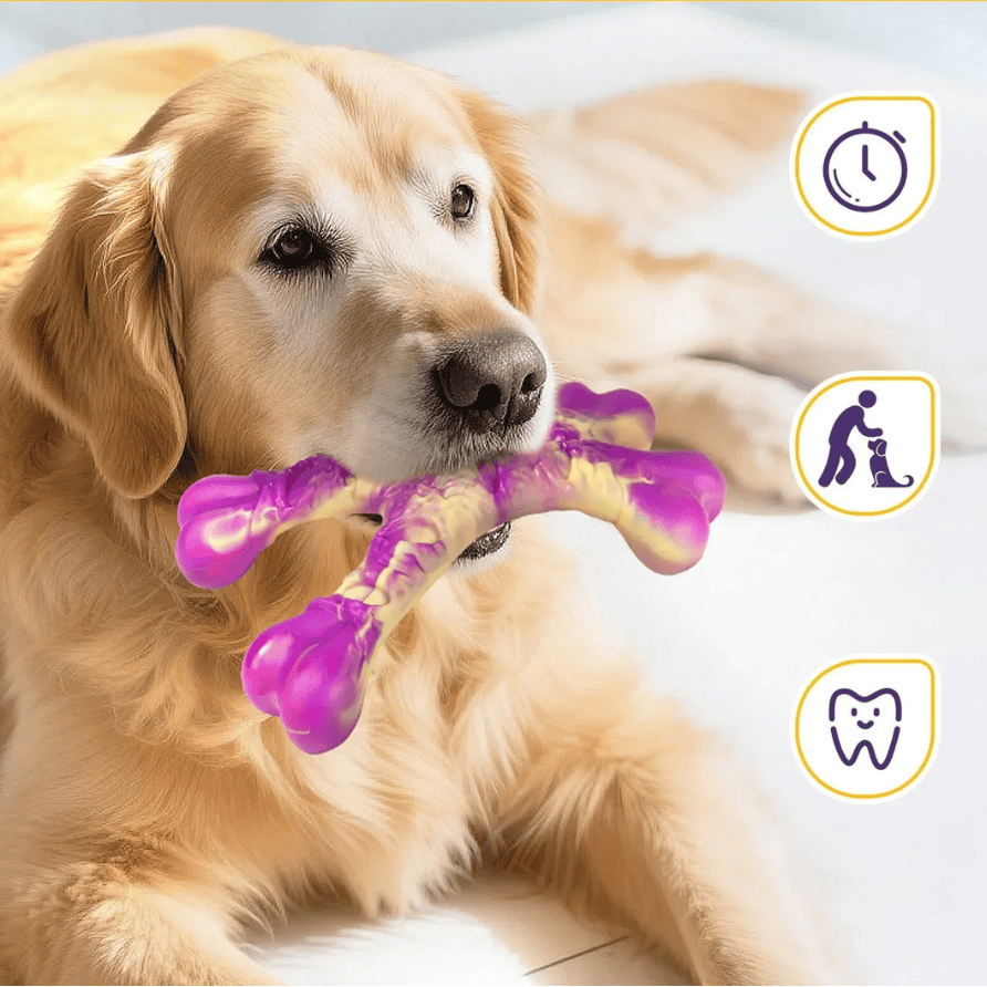 Jouet en nylon saveur bœuf pour chien, résistant, réduit l'ennui des grands chiens.