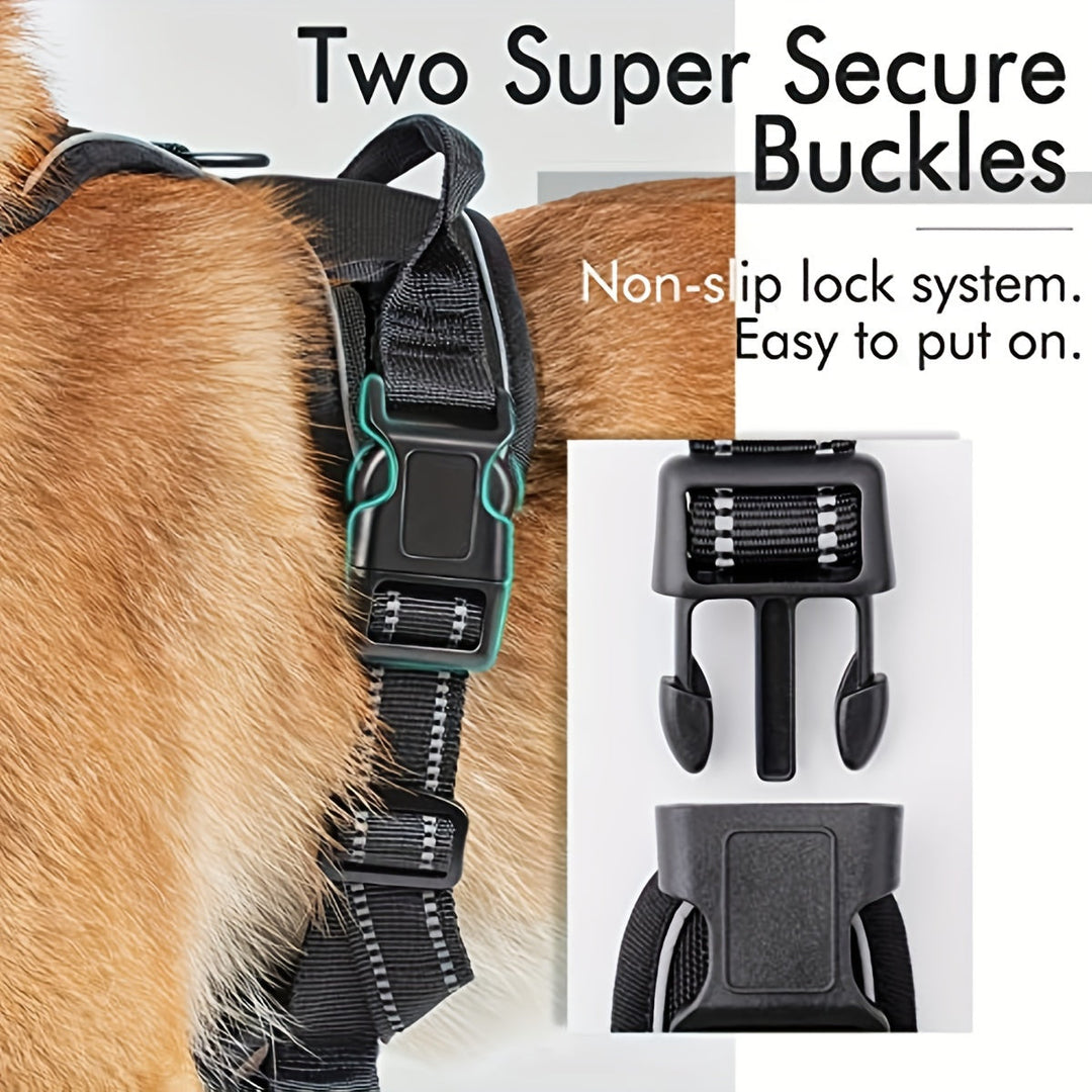 Kit sécurité pour chien: harnais réfléchissant avec poignée et laisse pour contrôle et visibilité nocturne.