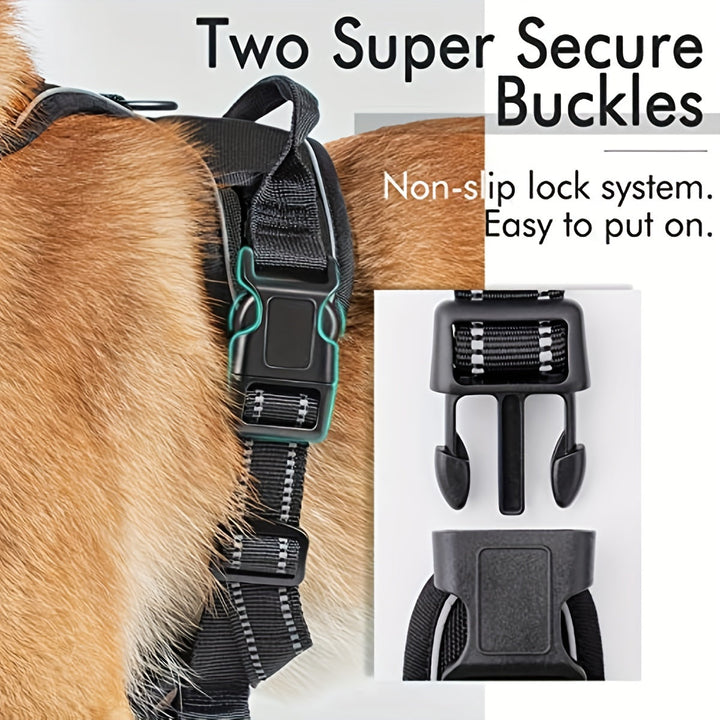 Kit sécurité pour chien: harnais réfléchissant avec poignée et laisse pour contrôle et visibilité nocturne.