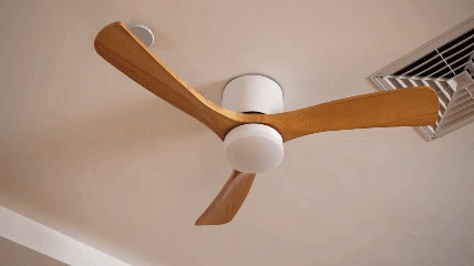Ventilateur plafond LED scandinave, pales bois, fonction réversible pour toutes saisons.