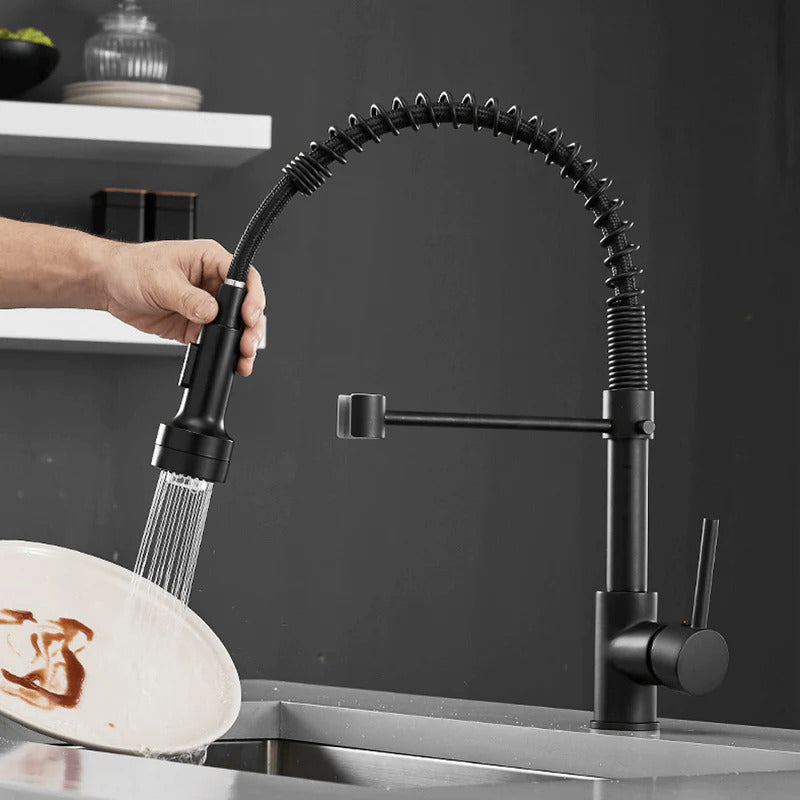 Robinet de cuisine nickel brossé, douchette extensible et design épuré.