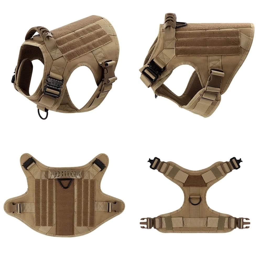 Gros plan sur harnais tactique réglable pour chien, boucles solides et rembourrage confortable.