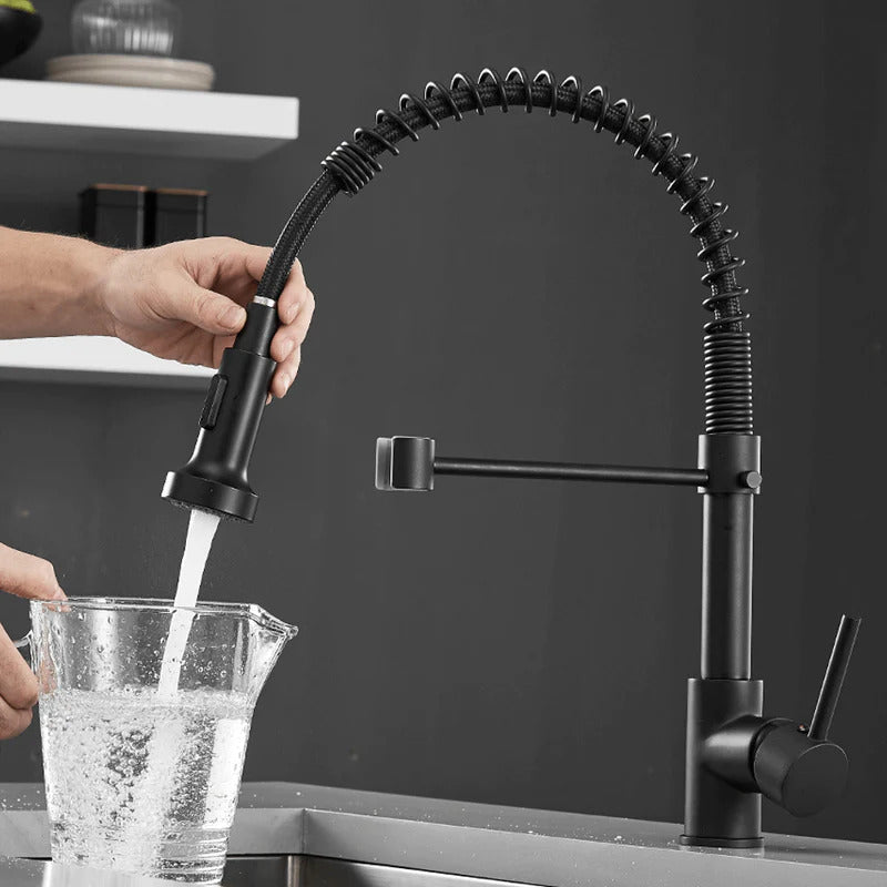 Mitigeur d'évier moderne, douchette à ressort pour une flexibilité accrue.