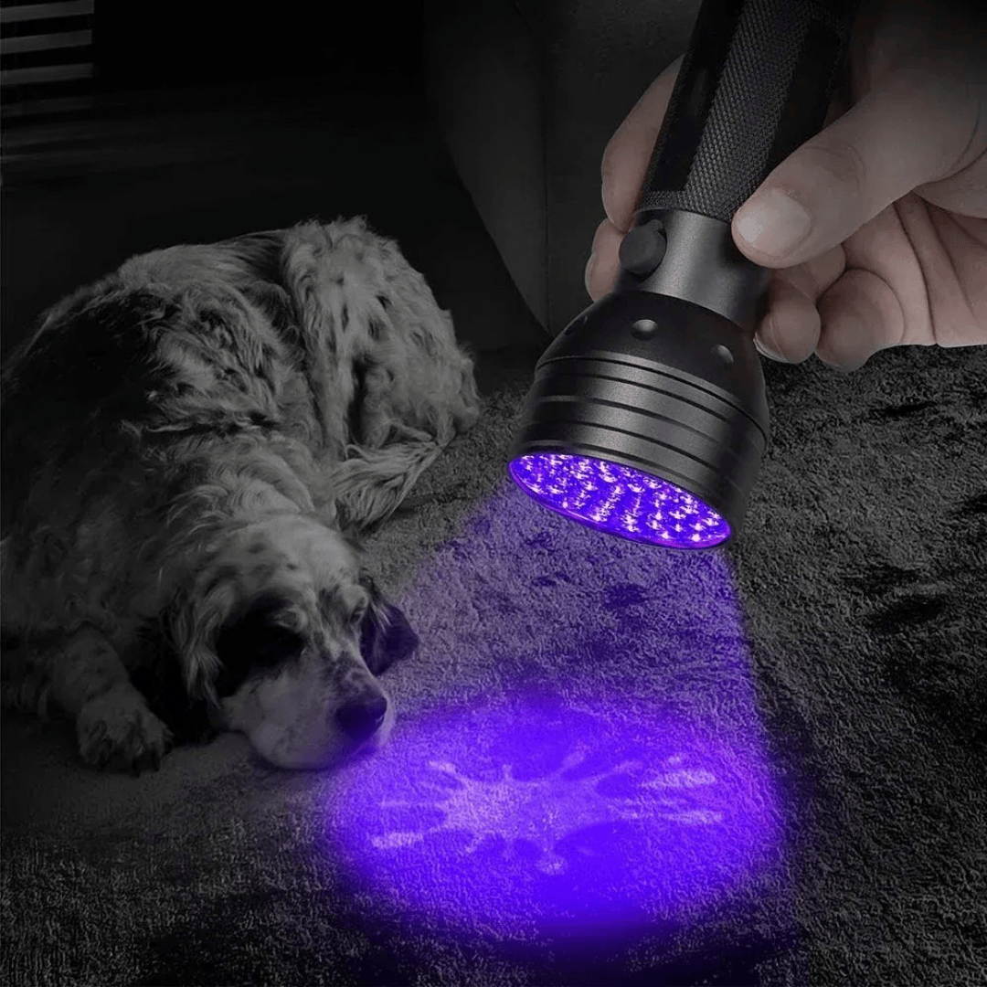 Outil indispensable pour propriétaires d'animaux: lampe UV 395nm détectant l'urine de chien et chat, propreté garantie.