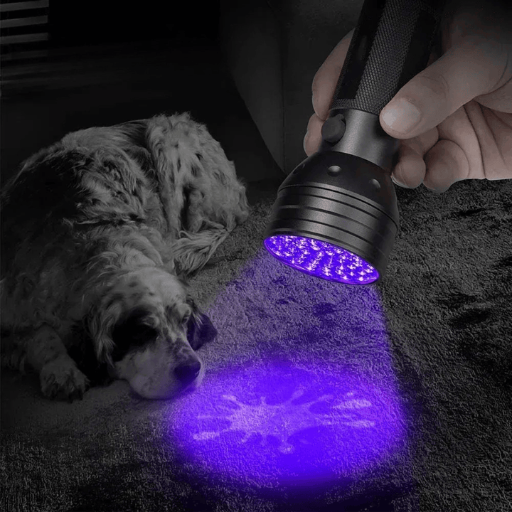 Outil indispensable pour propriétaires d'animaux: lampe UV 395nm détectant l'urine de chien et chat, propreté garantie.