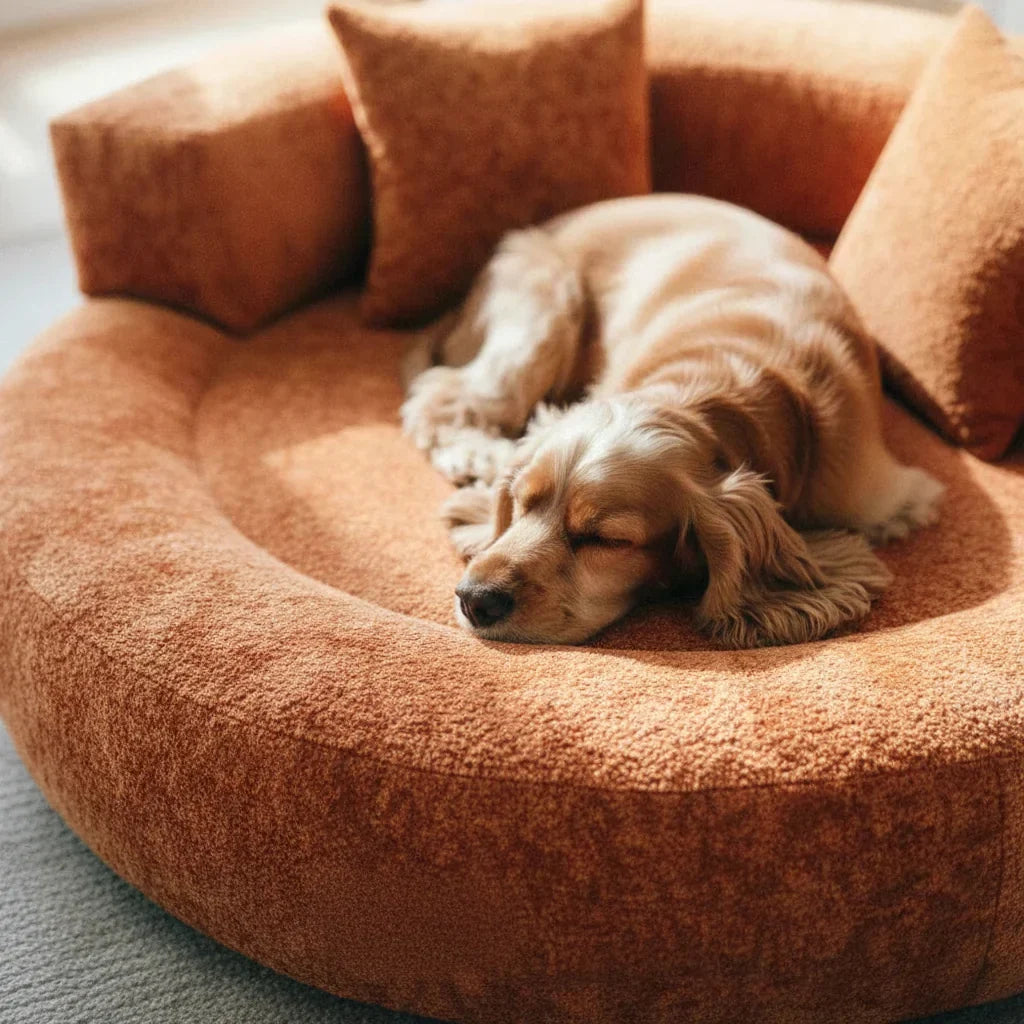 Lit donut gris en peluche pour chien et chat, offrant un confort animal et un couchage chaud.