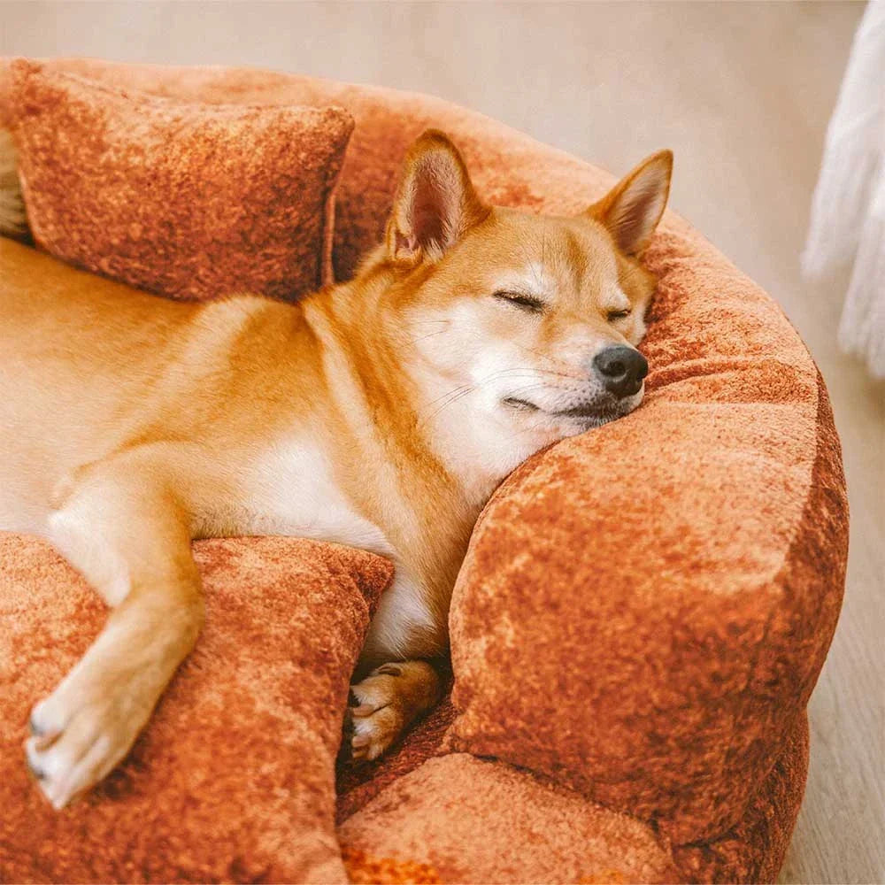 Nid douillet en peluche pour chat, lit donut ultra doux, idéal pour la détente et le sommeil.