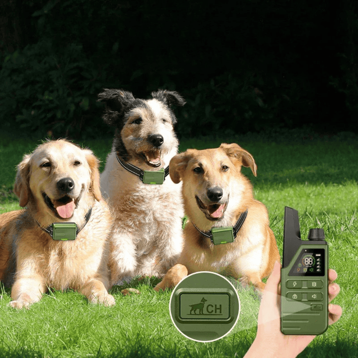 Collier de dressage étanche pour chien, offrant une solution complète pour le comportement et l'obéissance canine.