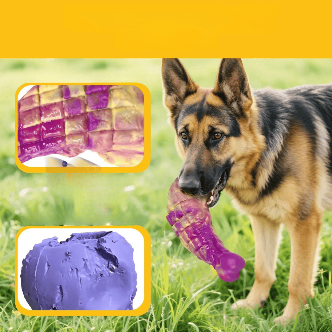 Jouet pour chien saveur bœuf, ultra-résistant, contribue à la santé bucco-dentaire.