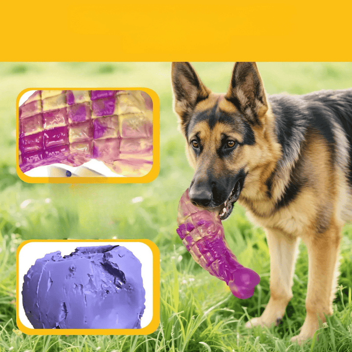 Jouet pour chien saveur bœuf, ultra-résistant, contribue à la santé bucco-dentaire.