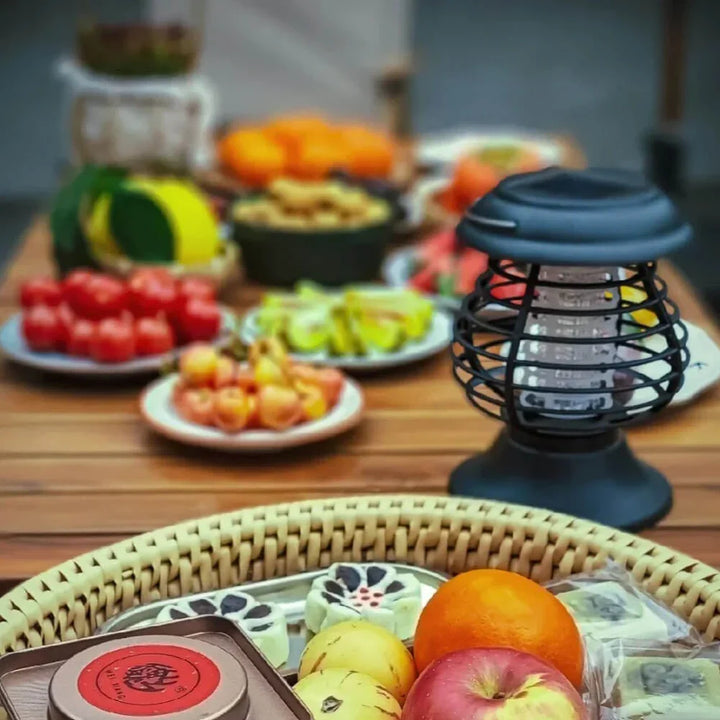 Double fonction: Lampe solaire LED pour éclairage de jardin et appareil anti-moustiques efficace pour l'extérieur.