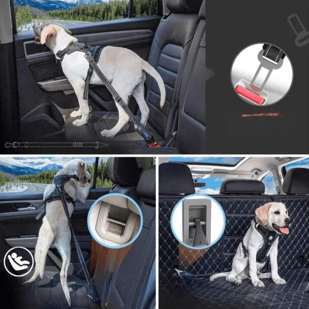 Indispensable accessoire de sécurité voiture pour chien, cette ceinture assure la protection de votre animal de compagnie.