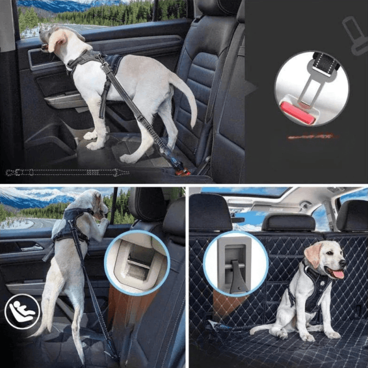 Indispensable accessoire de sécurité voiture pour chien, cette ceinture assure la protection de votre animal de compagnie.