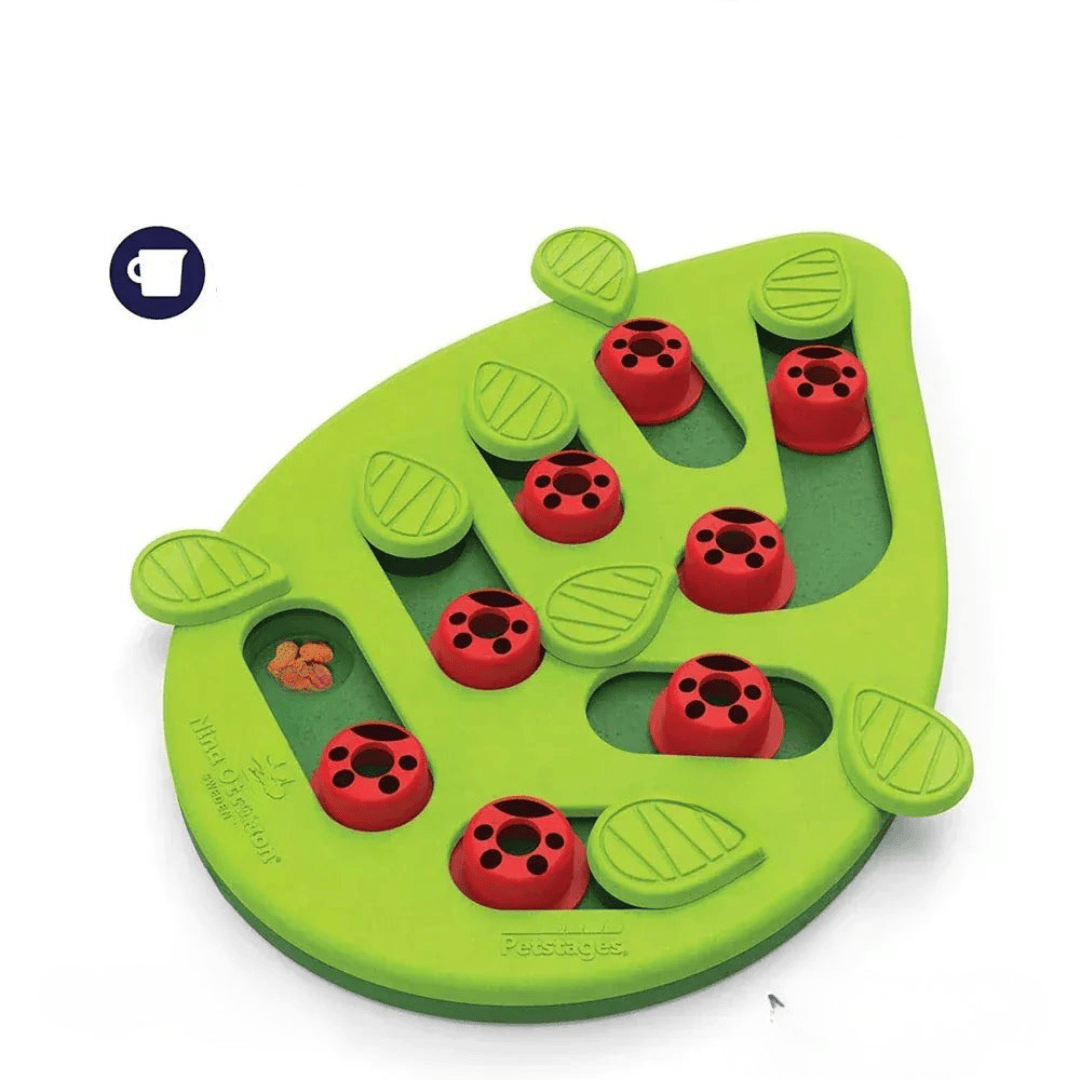 Image d'un chat résolvant un puzzle interactif pour obtenir des friandises, stimulant son esprit et son anti-ennui.
