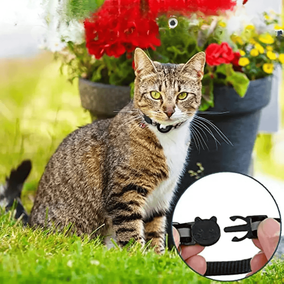 Collier de sécurité réfléchissant anti-étranglement pour chat, support traceur, visibilité nocturne.