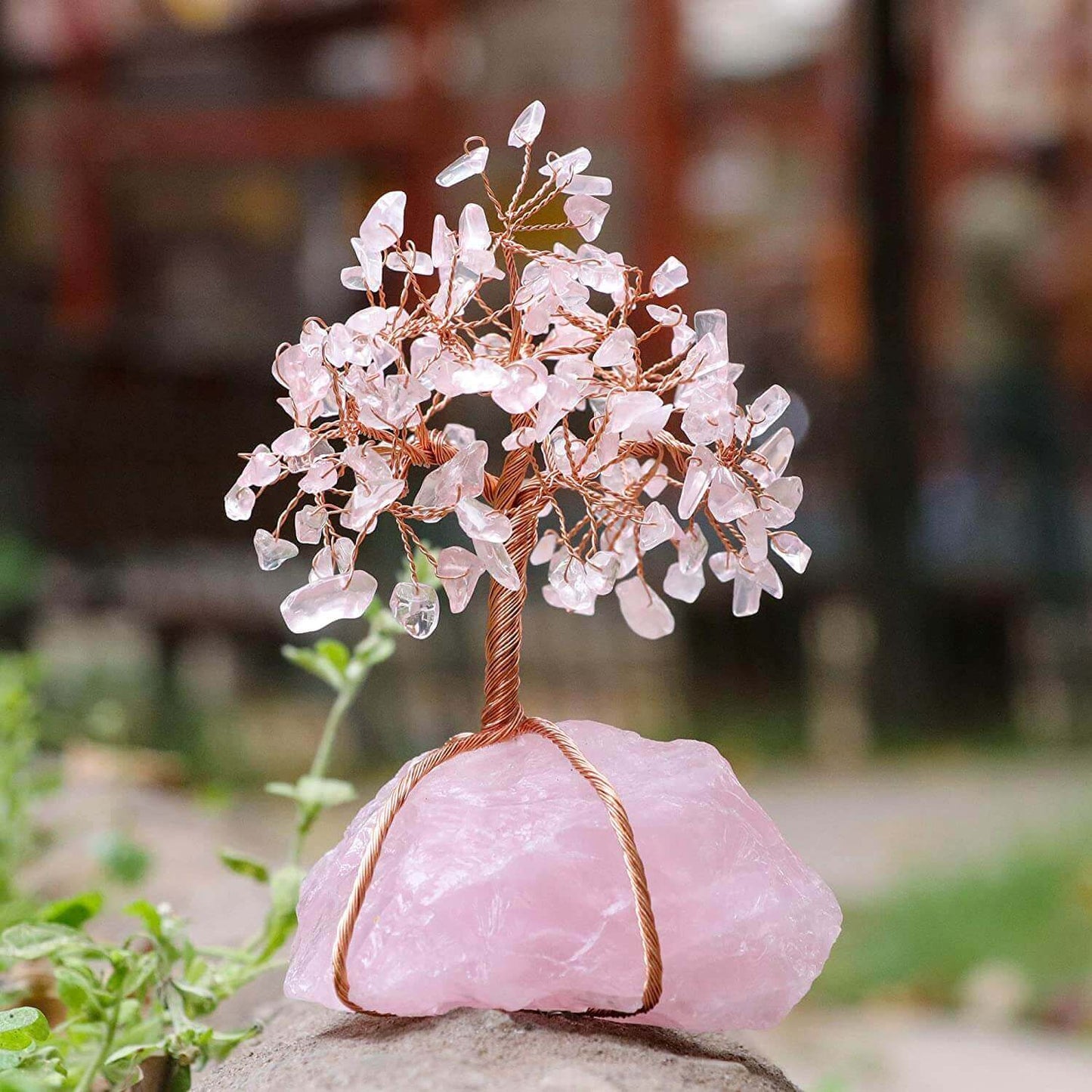 Feng Shui Bonsaiträd - Dekoration för Hemmet