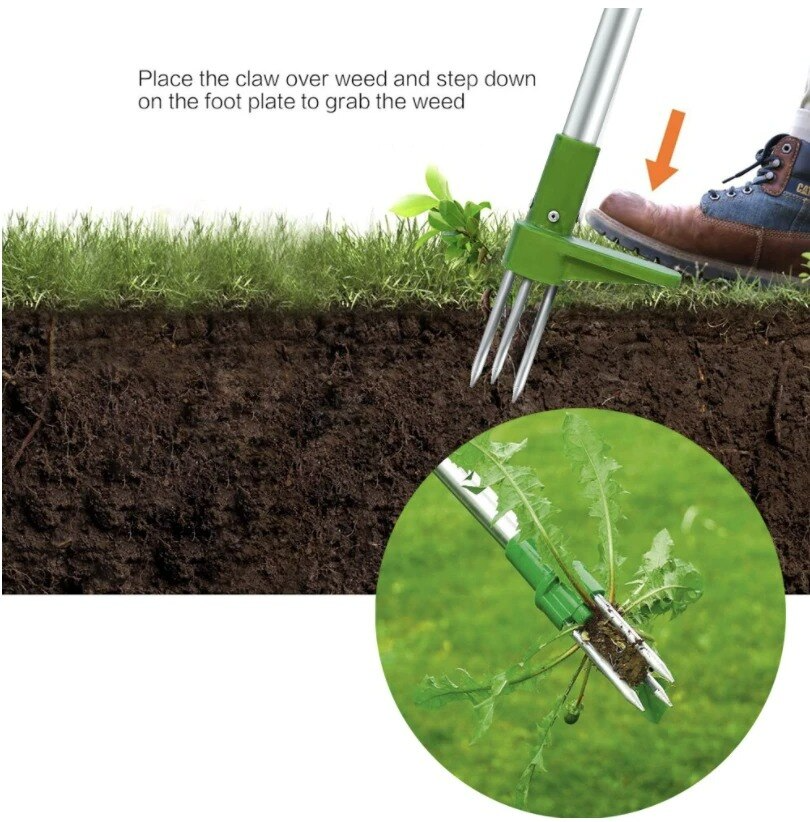 Outil de jardinage désherbeur debout avec manche télescopique. Idéal pour le retrait des mauvaises herbes sans effort.