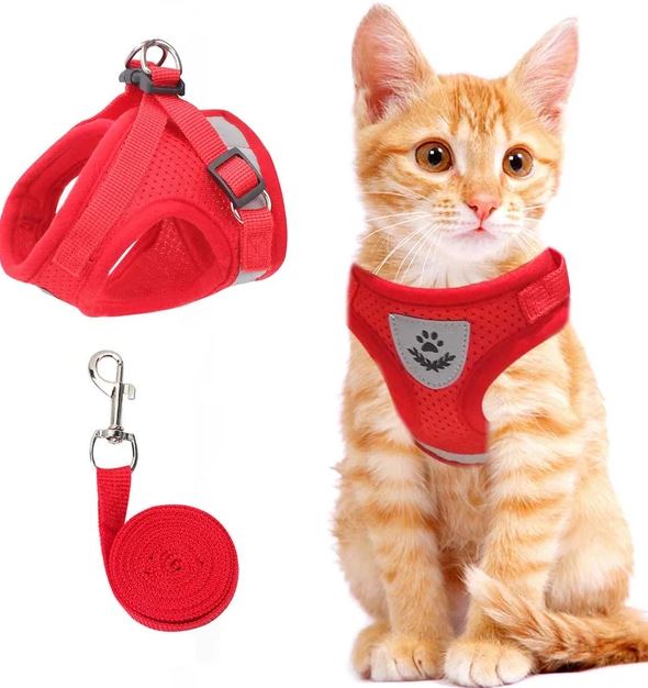 Harnais de promenade pour animaux de compagnie, respirant, lumineux, offrant confort et sécurité pour chats.