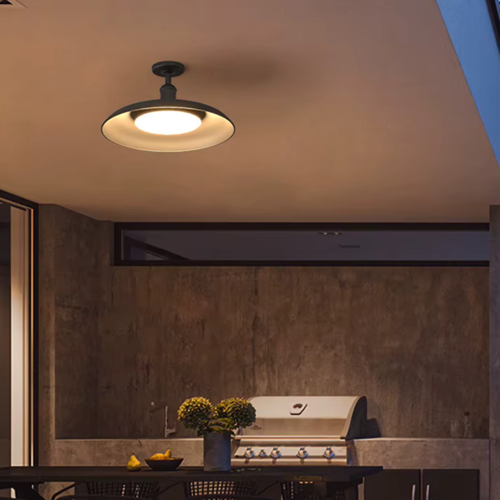 Plafonnier extérieur rond IP65 noir pour une lumière patio fiable et étanche. Idéal pour ambiance extérieure.
