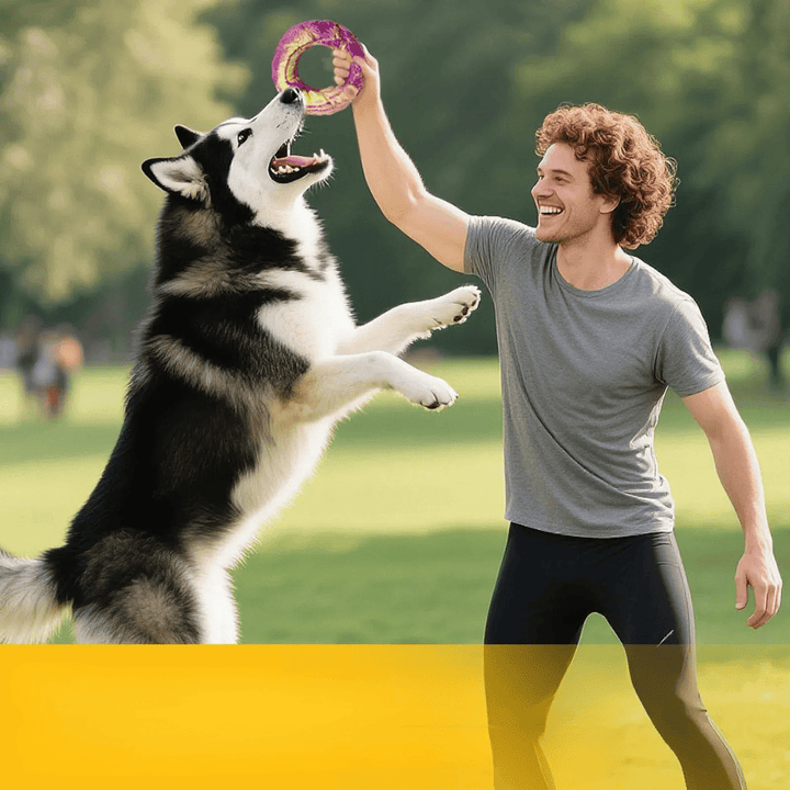 Durable jouet bœuf pour grand chien, mastication résistante et hygiène dentaire optimale.