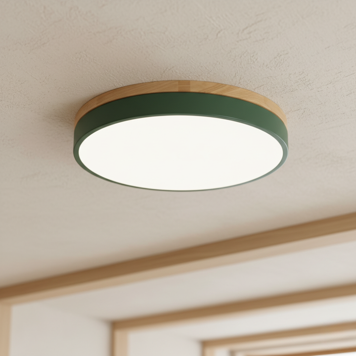 Plafonnier LED Horizon, design contemporain, idéal pour un éclairage discret dans un bureau moderne.