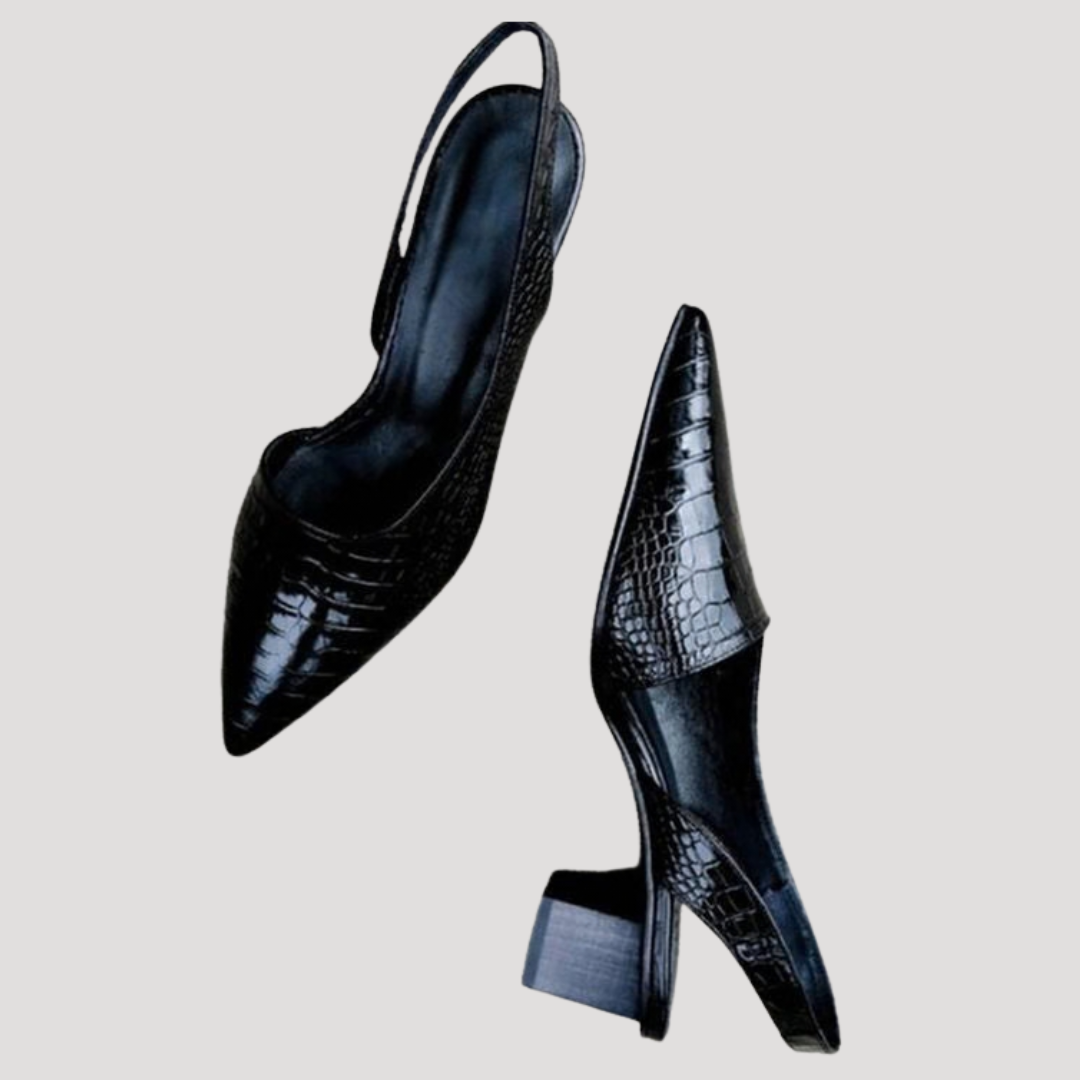 Escarpins polyvalents pour femme à talon bas et bout pointu. Idéaux comme chaussures habillées quotidiennes.