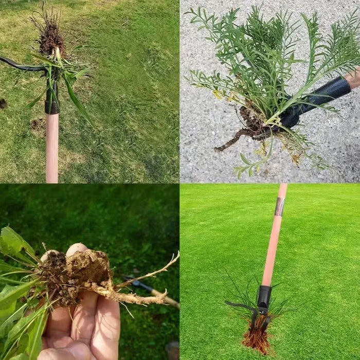 Désherbeur WeedGrip debout, solution écologique pour l'élimination efficace et permanente des herbes indésirables.