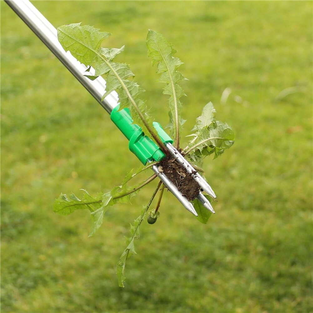 Désherbeur debout avec manche télescopique ergonomique pour éliminer les mauvaises herbes sans effort dans le jardin.