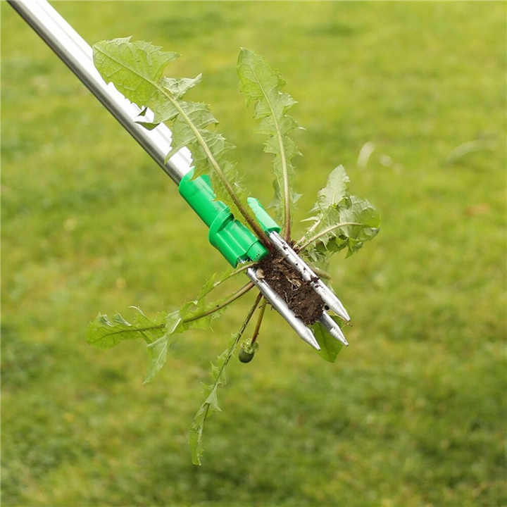 Désherbeur debout avec manche télescopique ergonomique pour éliminer les mauvaises herbes sans effort dans le jardin.