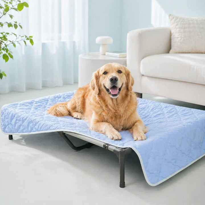 Accessoire portable: couverture rafraîchissante pour animaux, soulageant la chaleur estivale.
