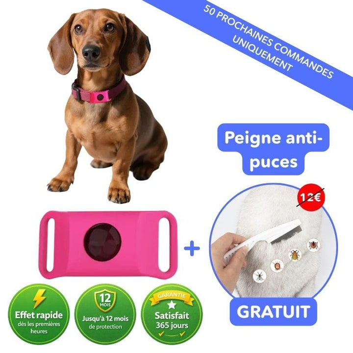 Pendentif anti-puces et tiques naturel pour chien. Protection efficace et sûre contre les parasites.