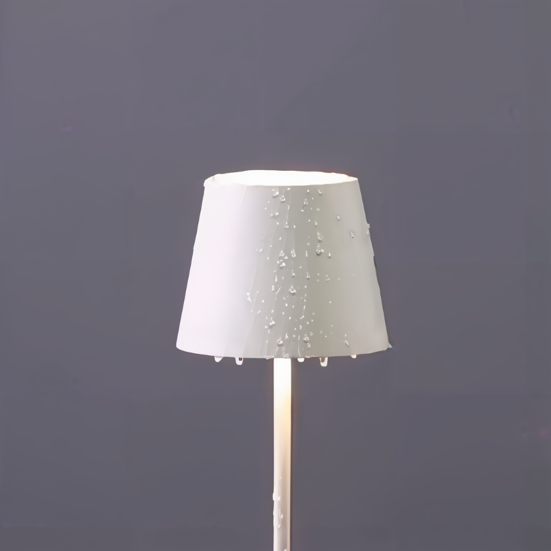 Lampe de table LED portable, design élégant, éclairage d'ambiance réglable, rechargeable.