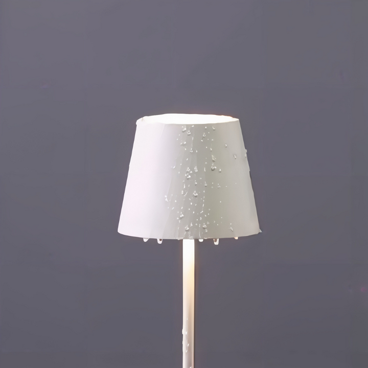 Lampe de table LED portable, design élégant, éclairage d'ambiance réglable, rechargeable.