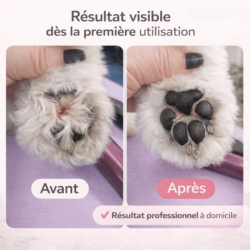 Kit de toilettage maison : tondeuse silencieuse LED pour coupe de poils de chiens et chats.